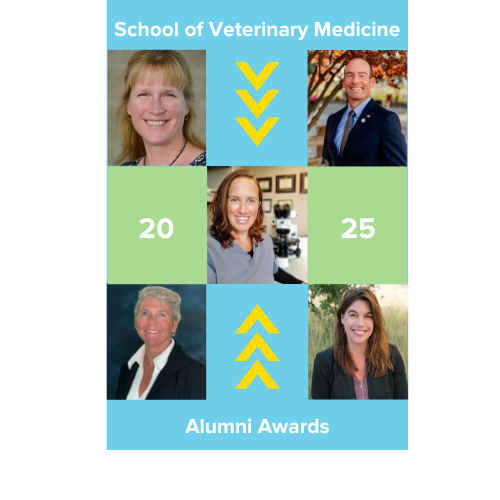 2025 Alumni Award Winners