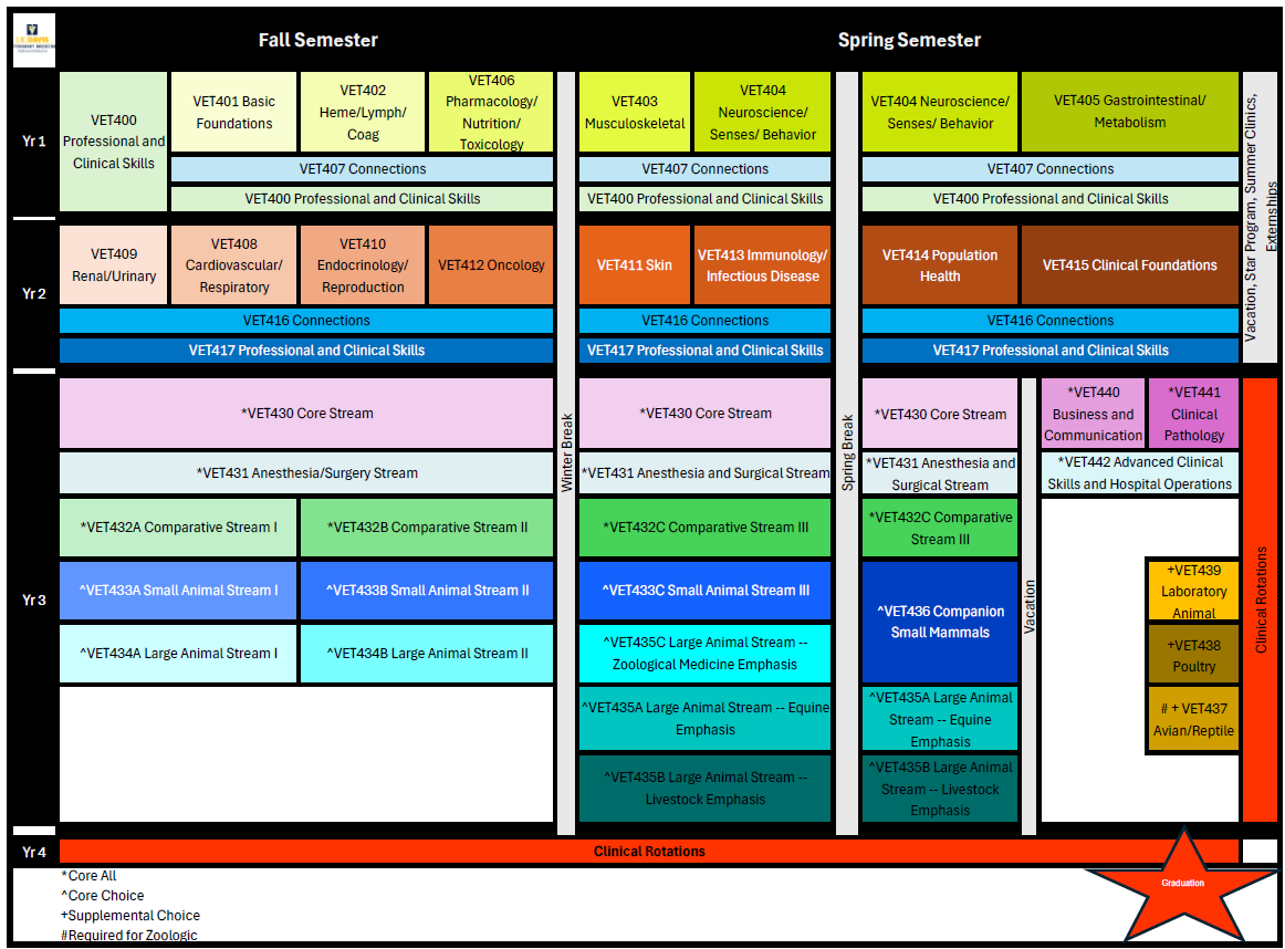DVM Curricular Map
