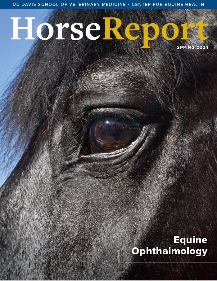 Horse Report - Spring 2024 Cover