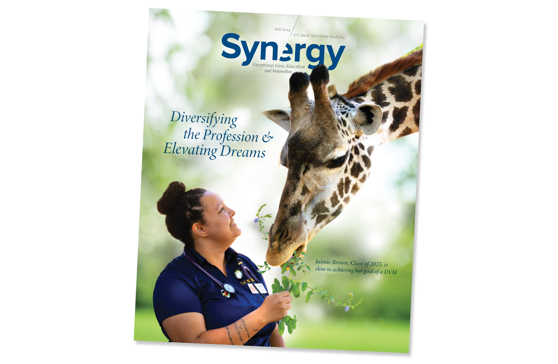 Cover of Synergy Magazine - Fall 2024
