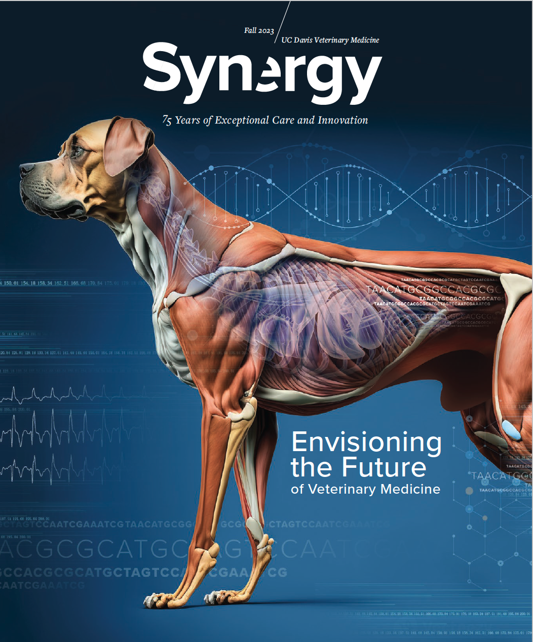 Synergy Fall 2023 cover