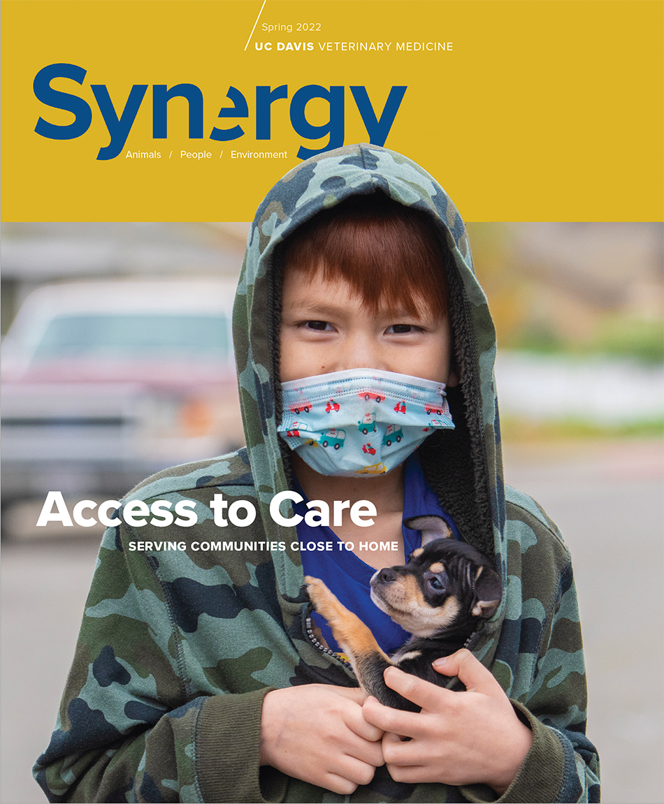 Synergy Magazine Cover - Spring 2022