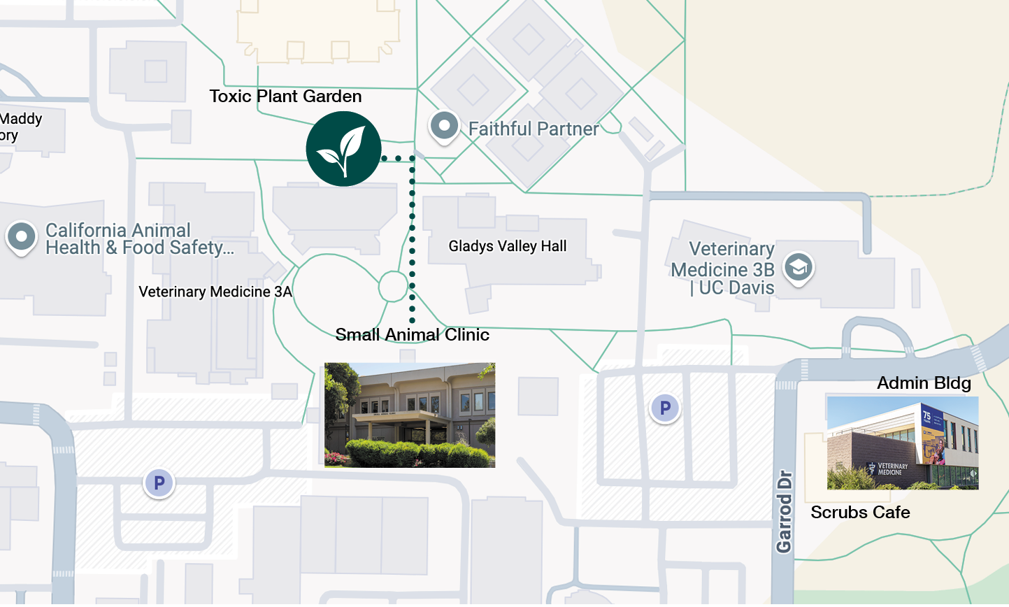 Map of campus showing the location of the Toxic Plant Garden