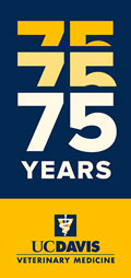75th Anniversary Logo