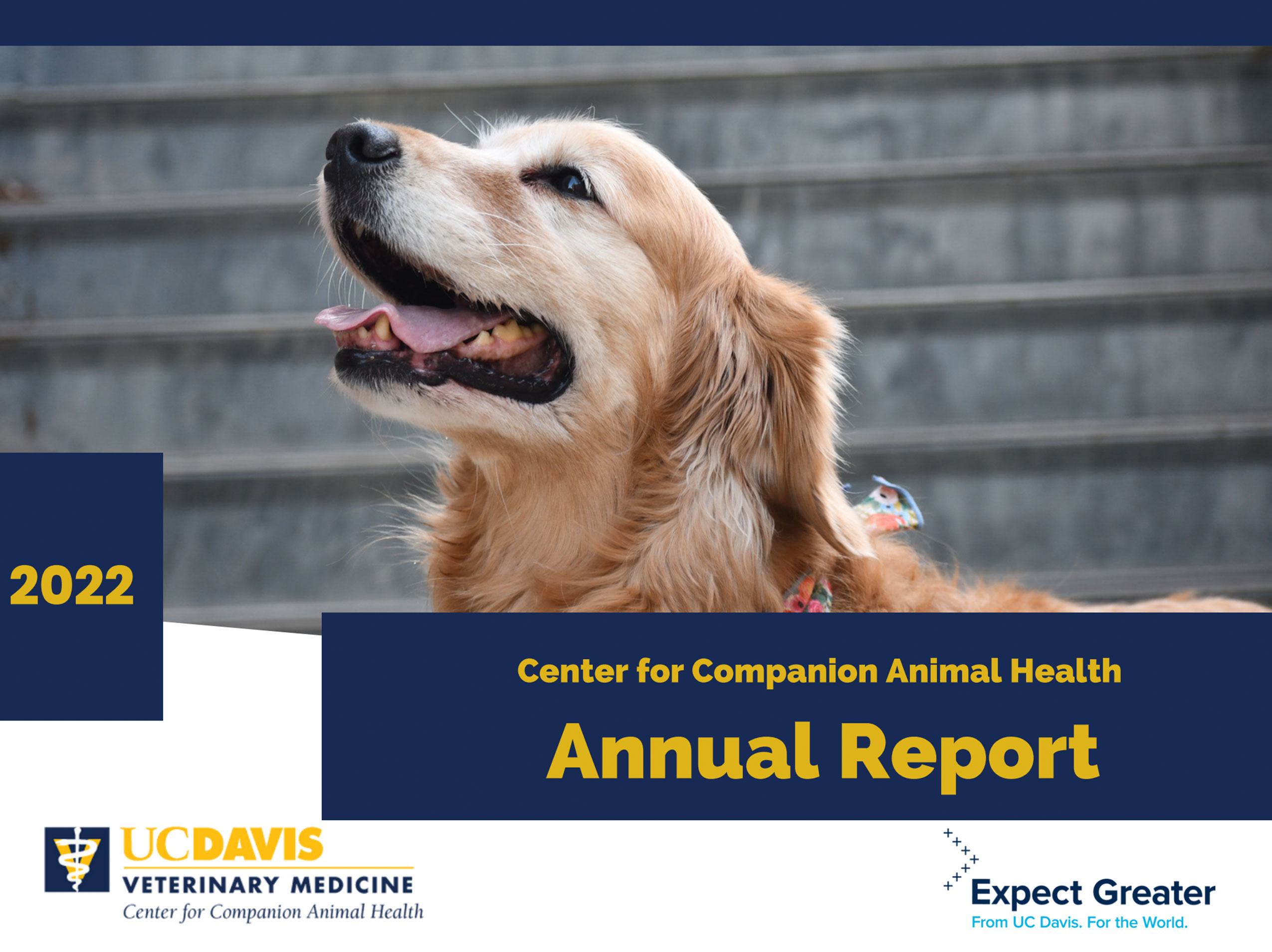 CCAH Annual Report | Center for Companion Animal Health (CCAH)