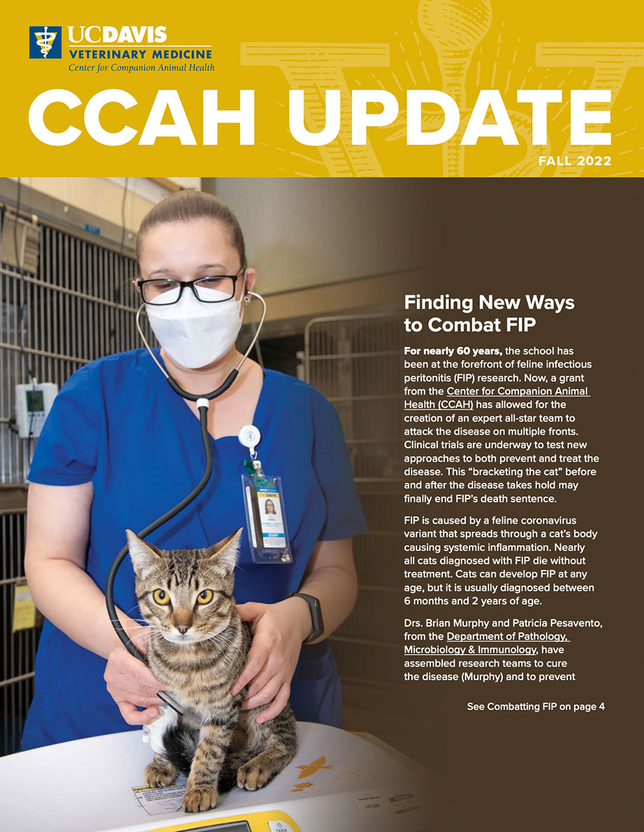 Veterinary School Retains Top Spot Nationally in QS Rankings