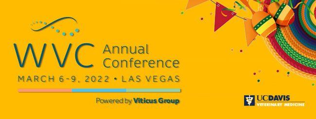 WVC conference header with fiesta graphics