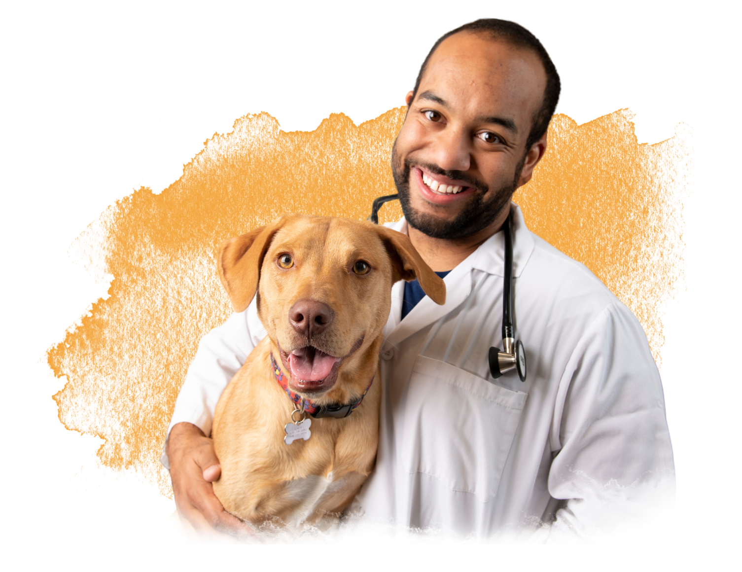 Vet with dog.