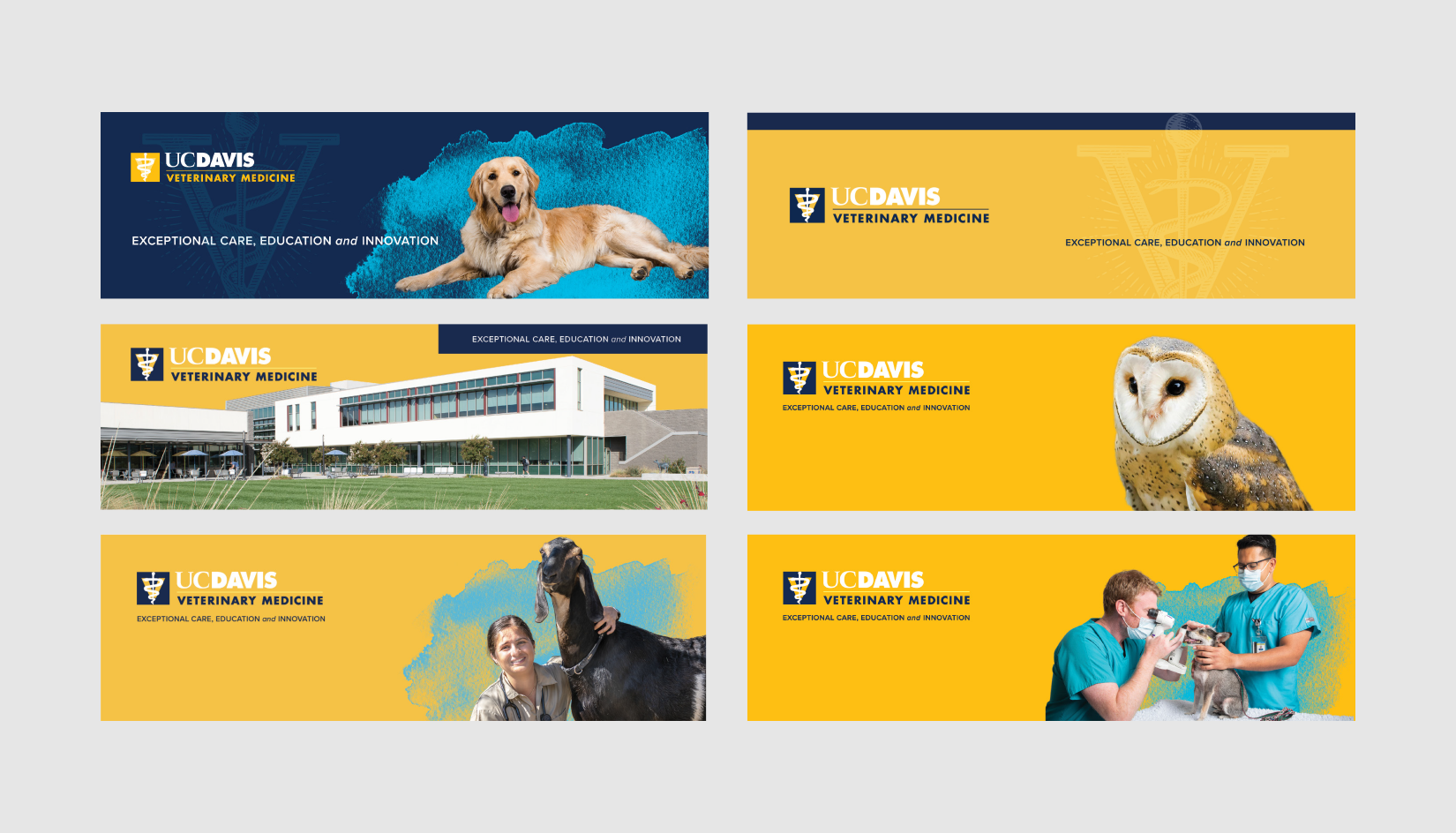 group of email headers with a variety of subjects