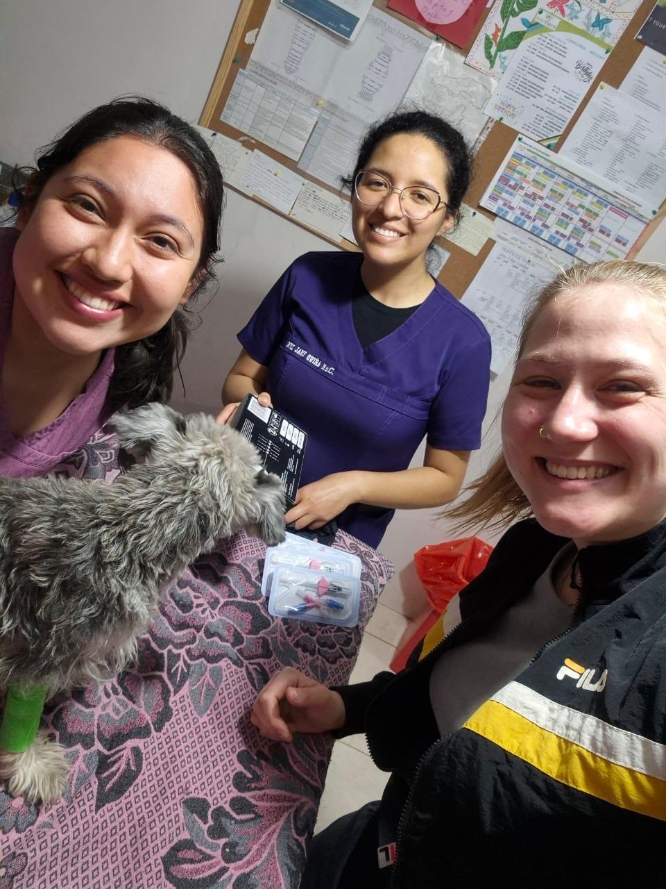 A group of vets caring for a puppy.