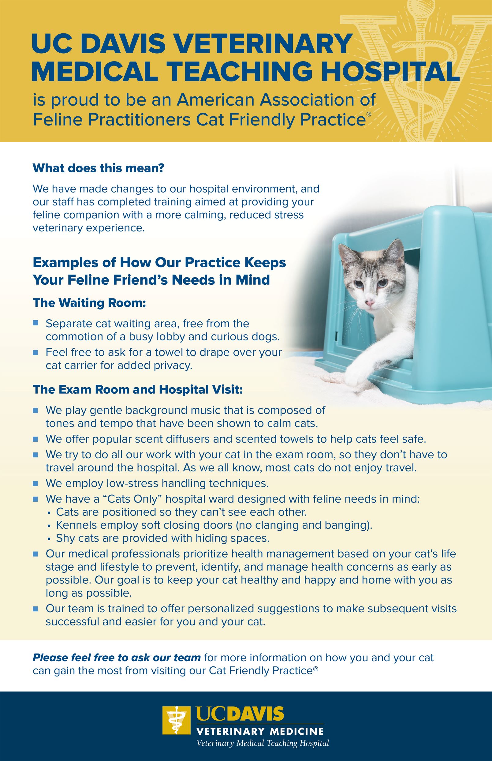 cat friendly practice information sheet