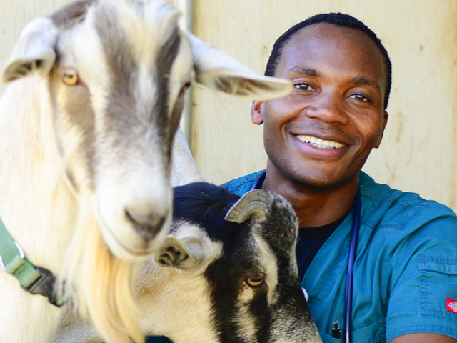 Strategic Goal 4 - Advance well-being of Animals. Vet with goats.