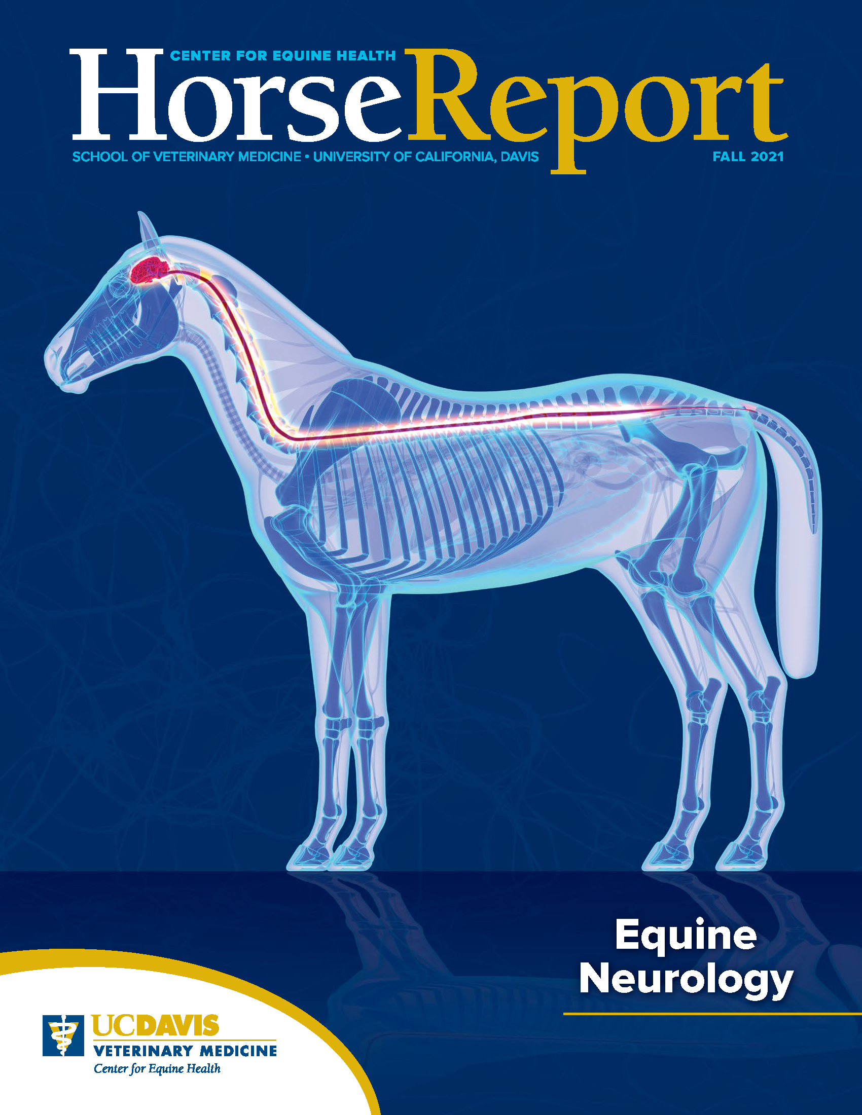 horse-report-fall-2021