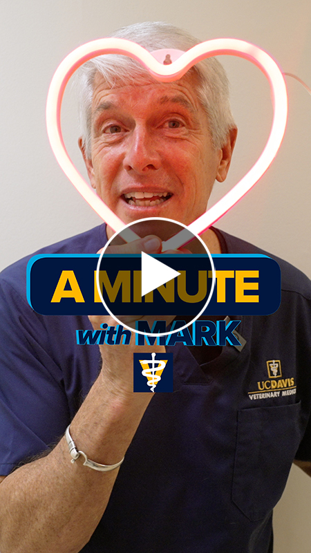Cover of a Minute with Mark video short showing Dean Stetter with a heart around his face.