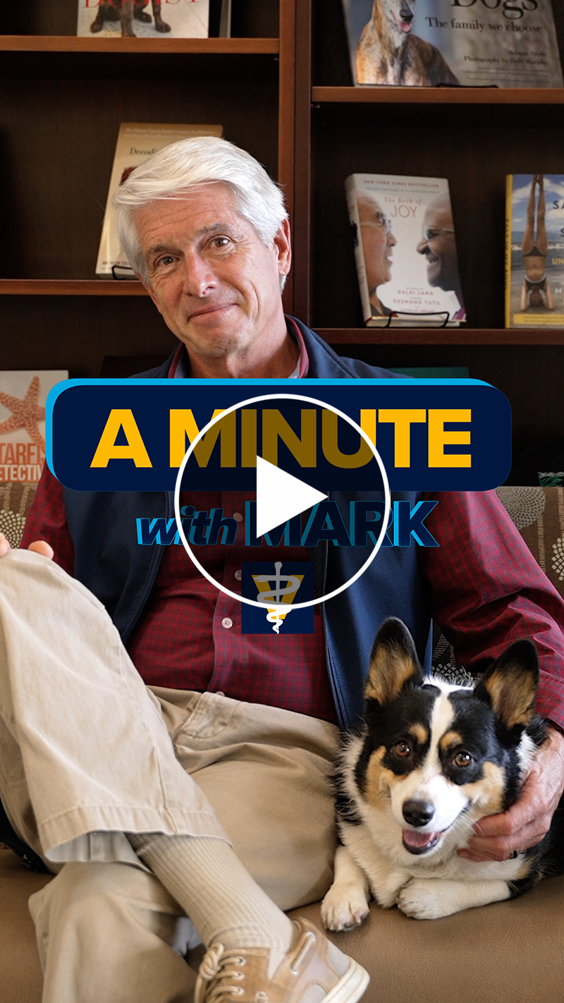 Cover of a Minute with Mark video short showing Dean Stetter sitting in his office next to Bella Trix, the Corgi dog.