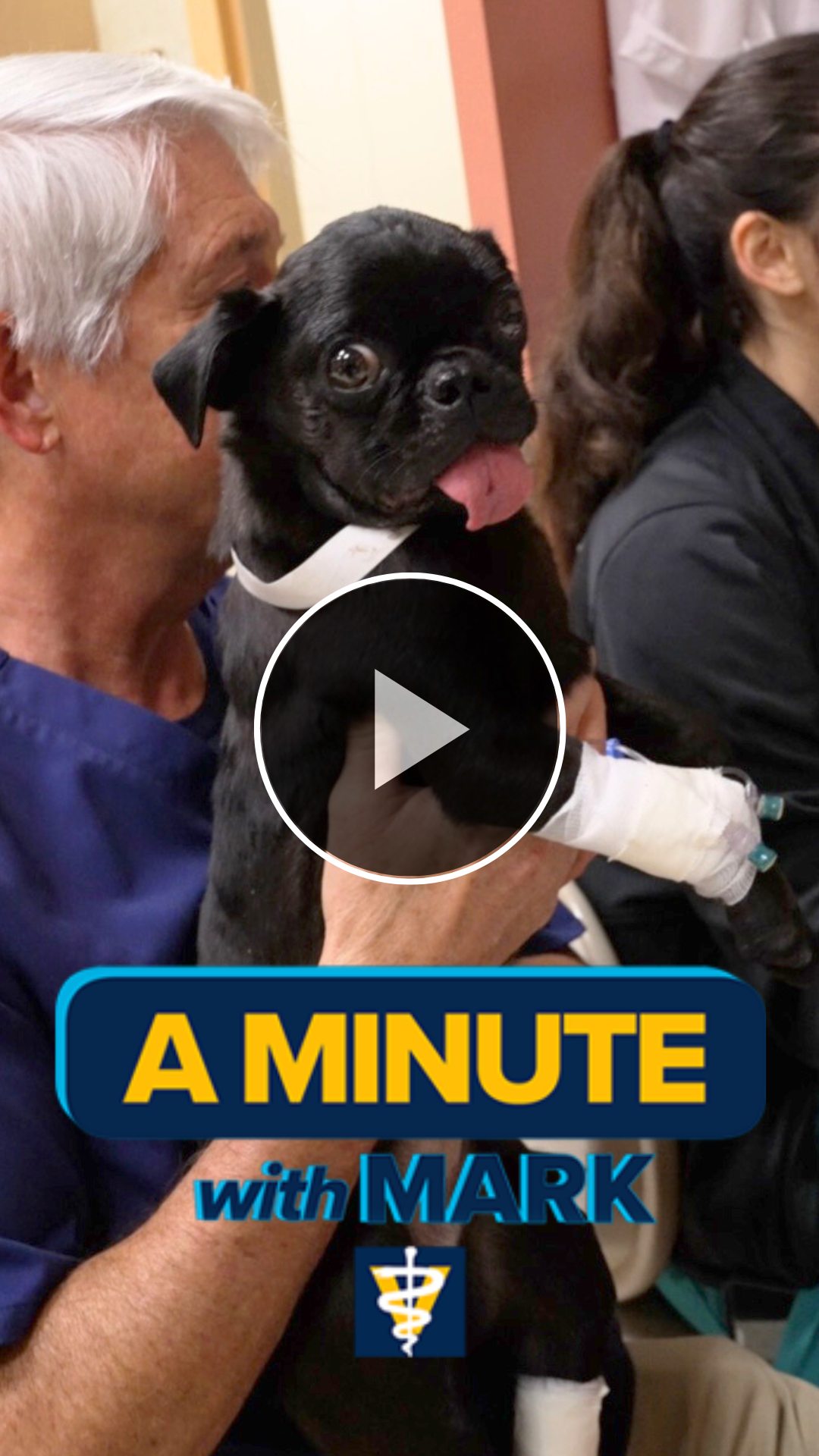 Minute with Mark video preview showing Dean Stetter holding a pug dog.