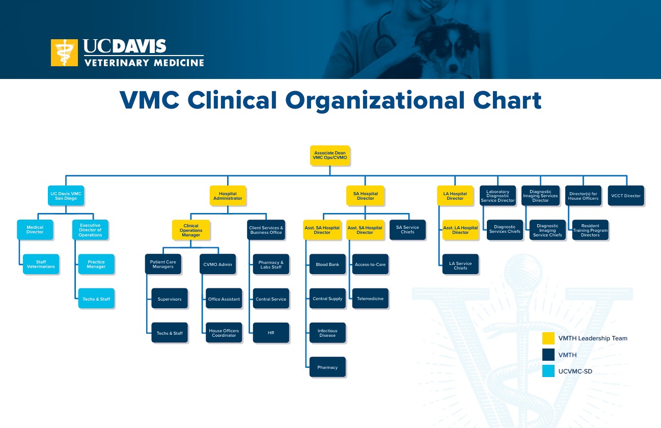 VMC org chart