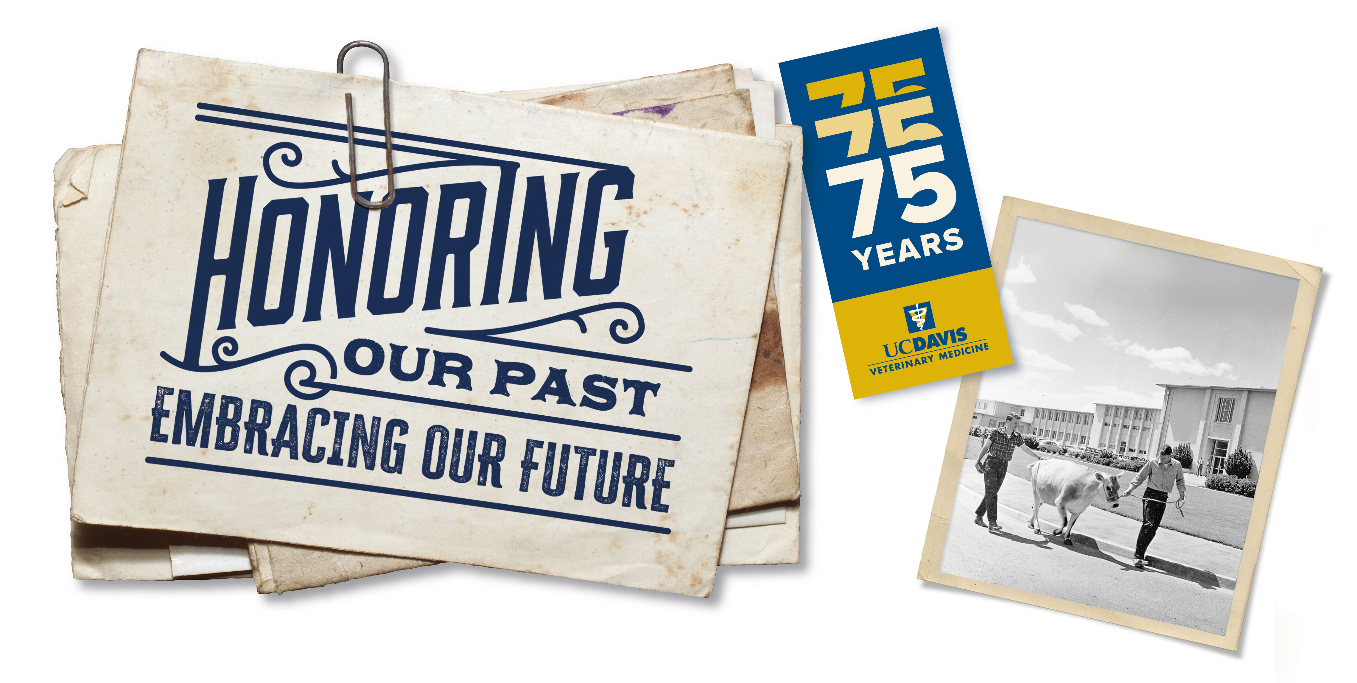 75 years of exceptional care and innovation.