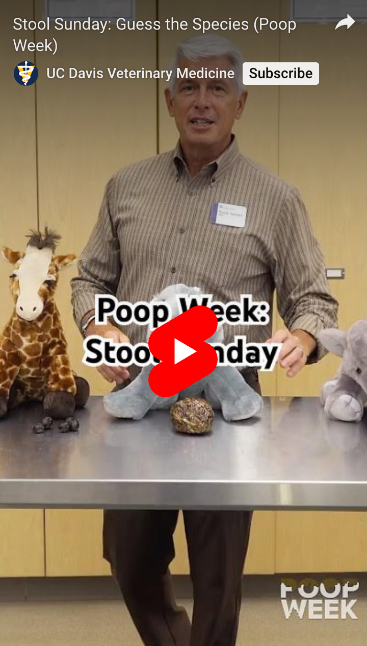 Minute with Mark video cover: Stool Sunday showing Mark with stuffed animals
