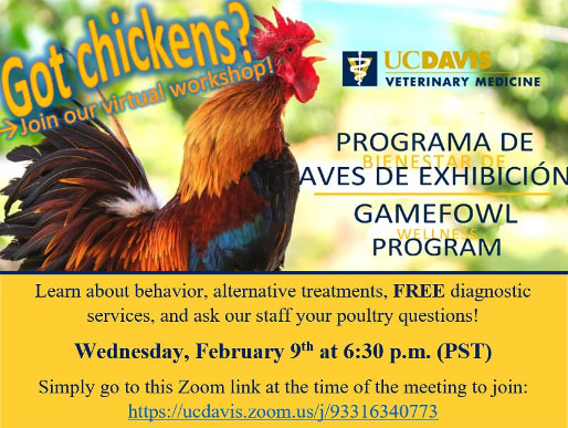 Join us to learn about gamefowl behavior and alternative treatments from our UC Davis poultry experts!