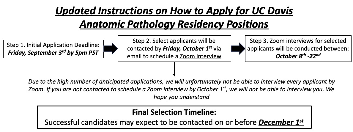 Overview of Interview and Selection Process