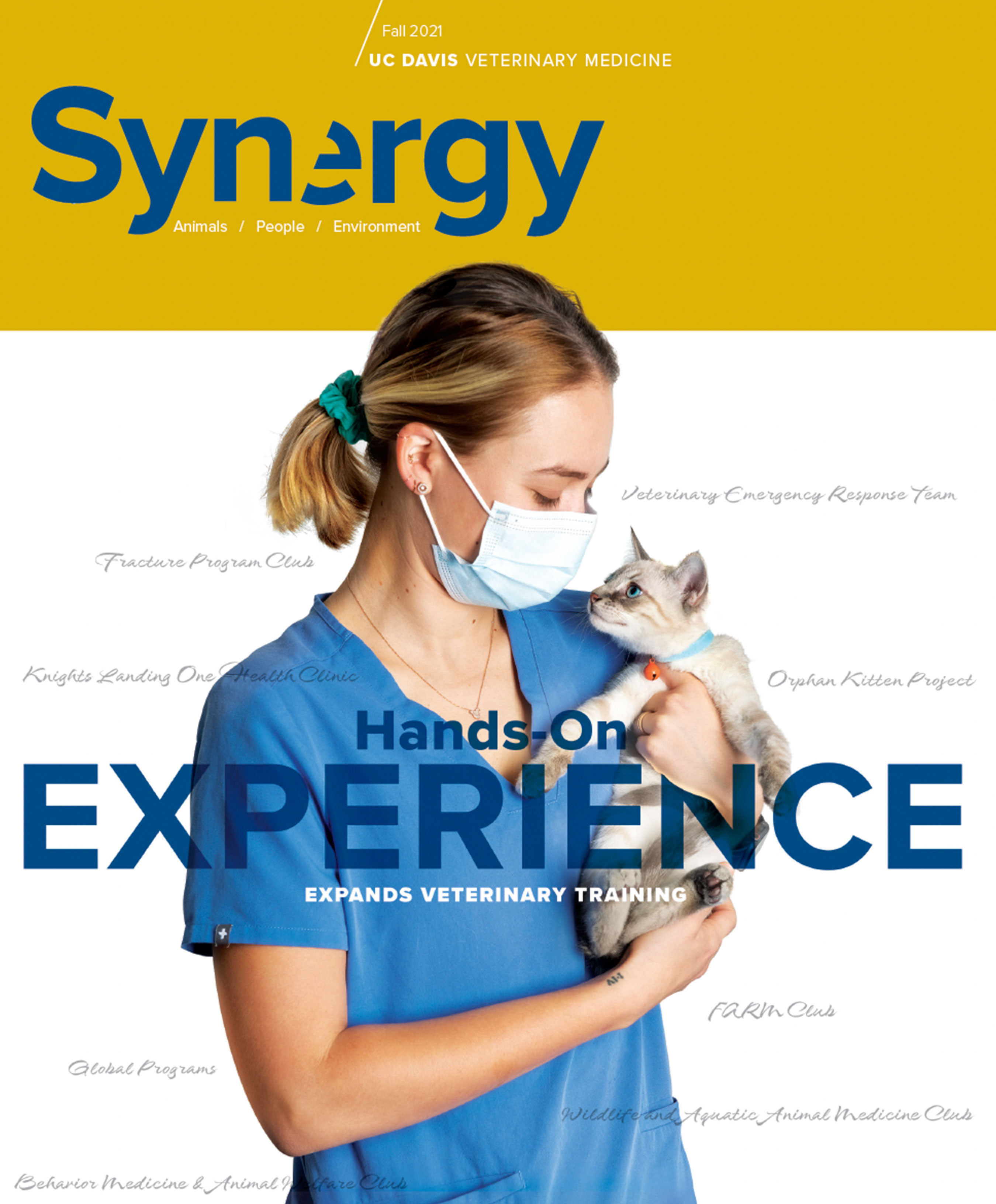 Synergy Magazine - Fall 2021