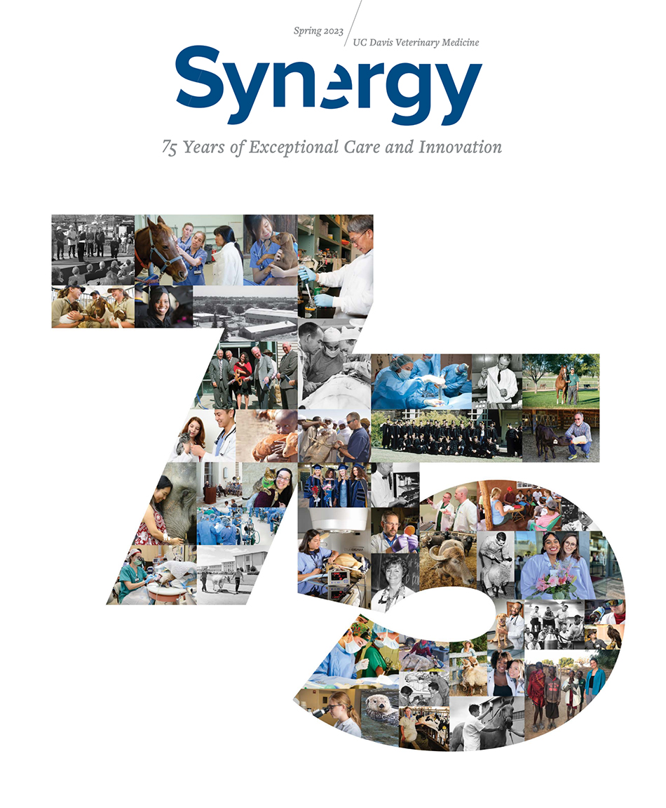 Synergy Magazine
