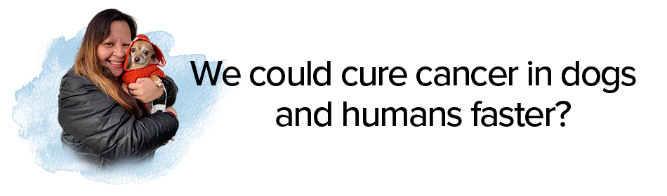 /what-if/what-if-we-could-cure-cancer-in-dogs-and-humans-faster