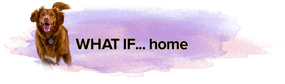 WHAT IF... Home