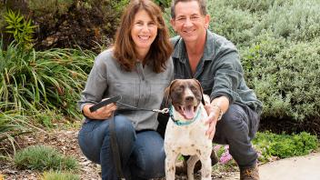 Dexter, a German shorthaired pointer