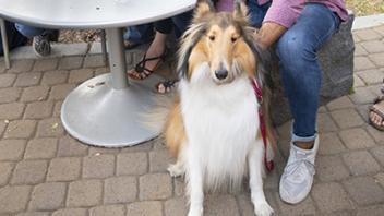 Current students and dog