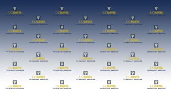 Vet Med Logo Repeating Pattern blue Gradient