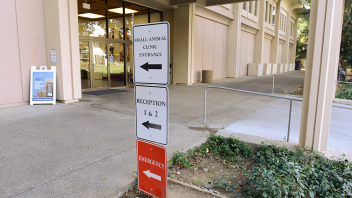 Direction signs at the front of the small animal clinic