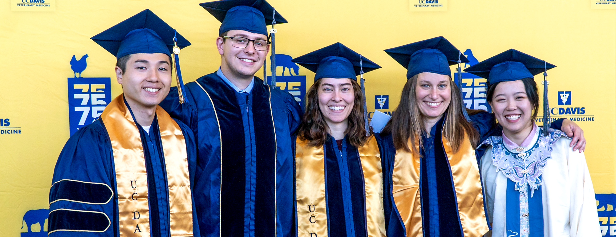 A group of students in graduation caps and gowns.