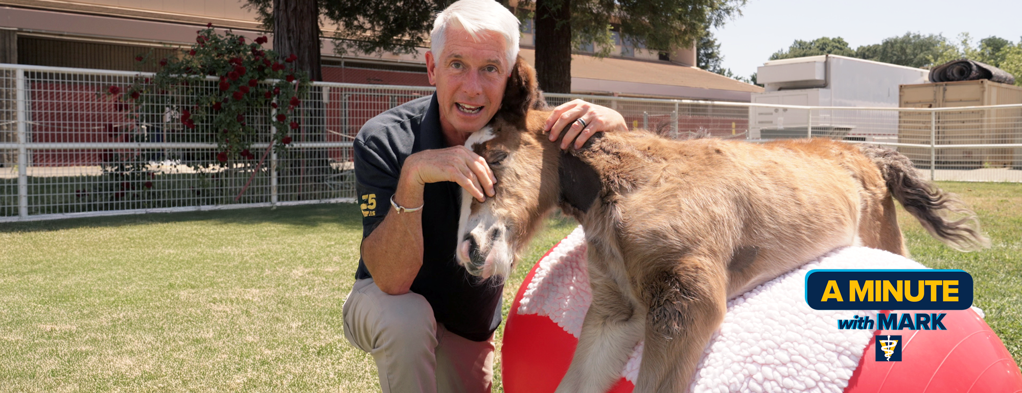 Dean Mark Stetter holds Ollie the foal.