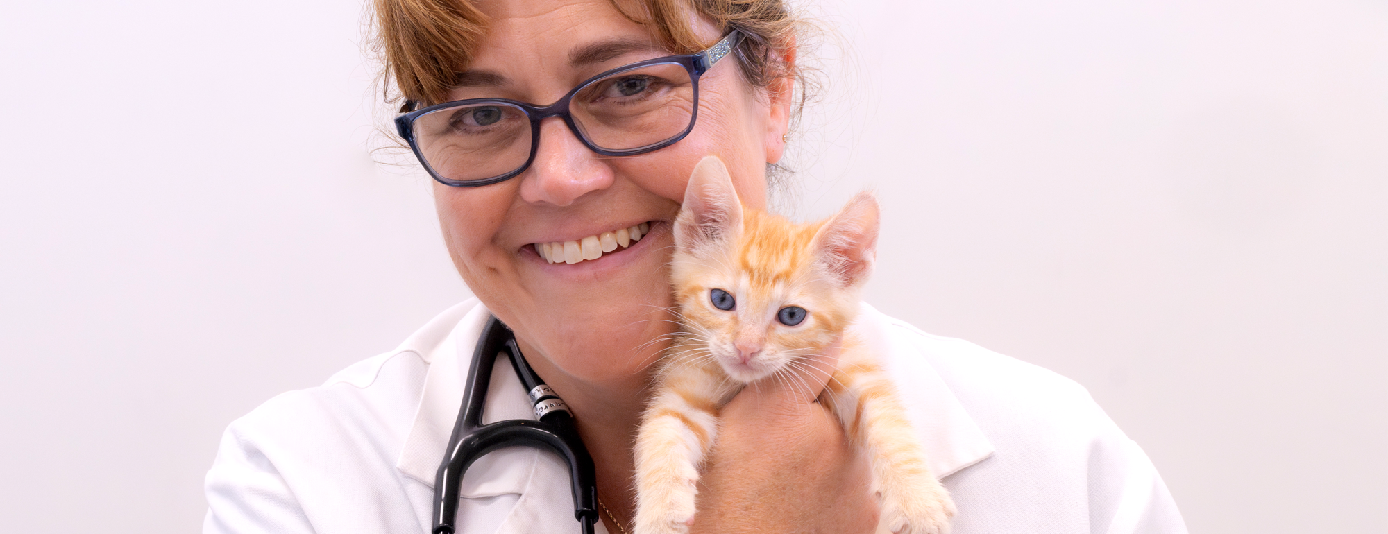 A veterinarian holding a kitten.