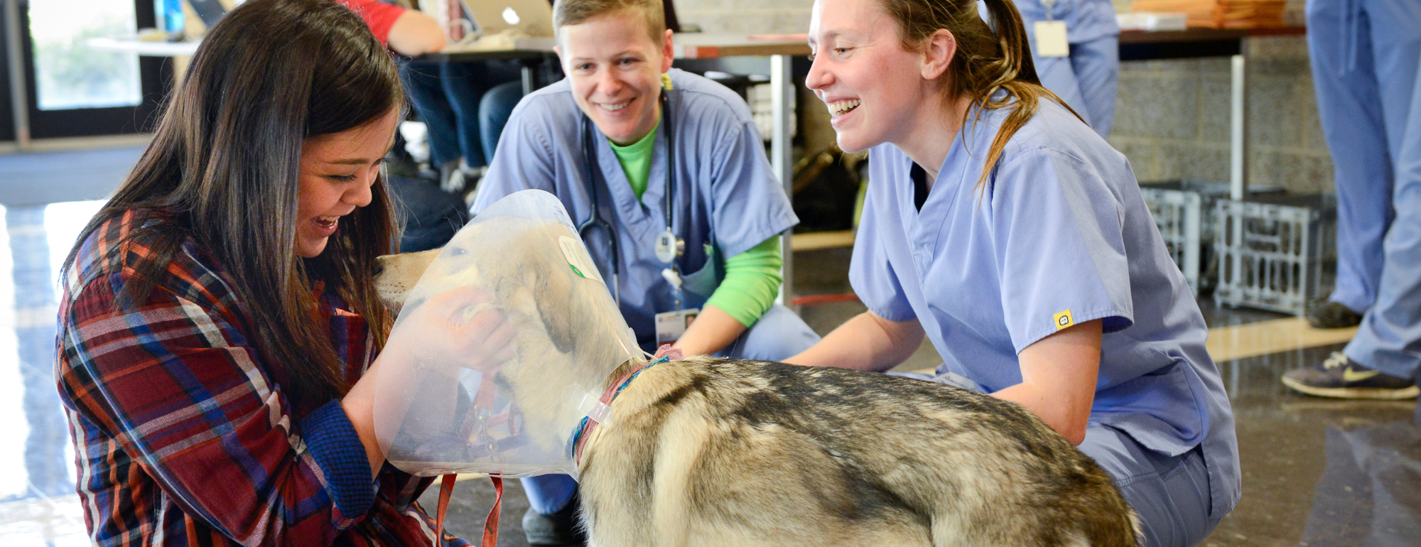An owner and dog happy to be reunited following a procedure.