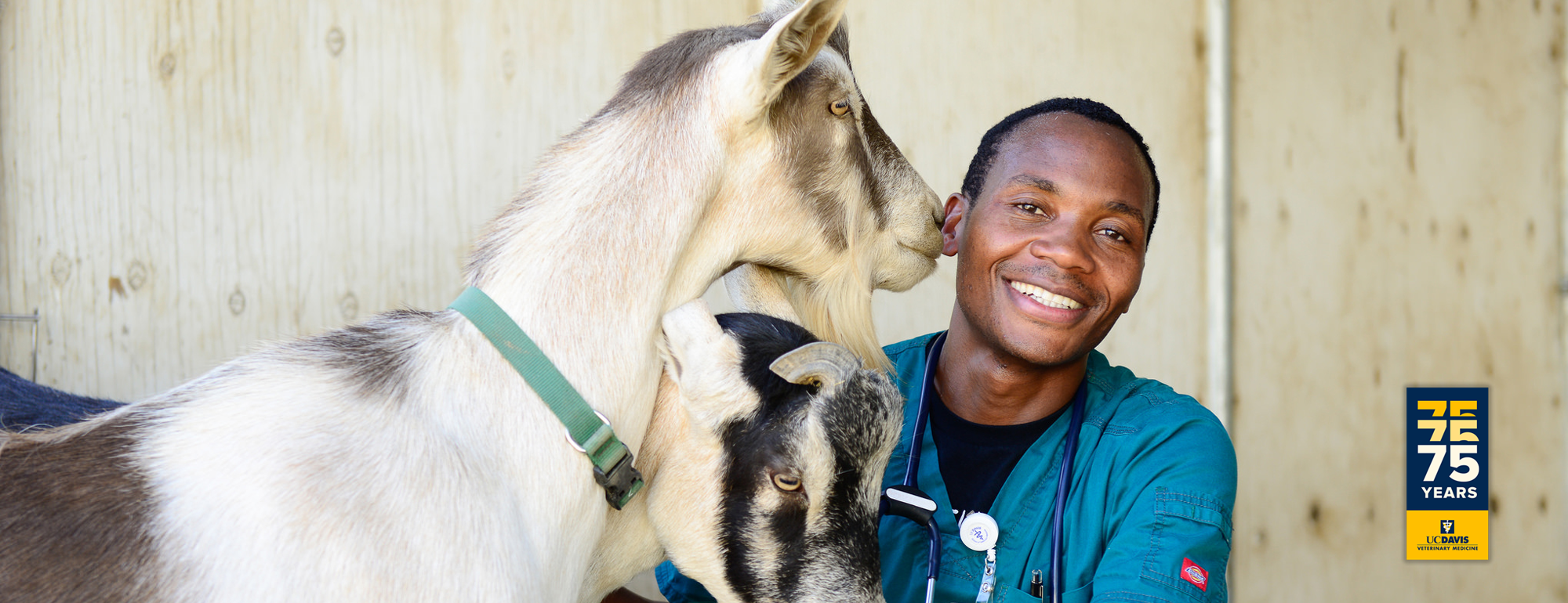 Vet with goats