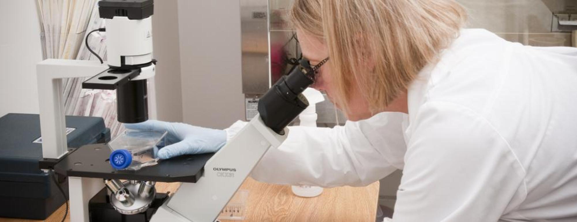 A researcher looking through a microscope.