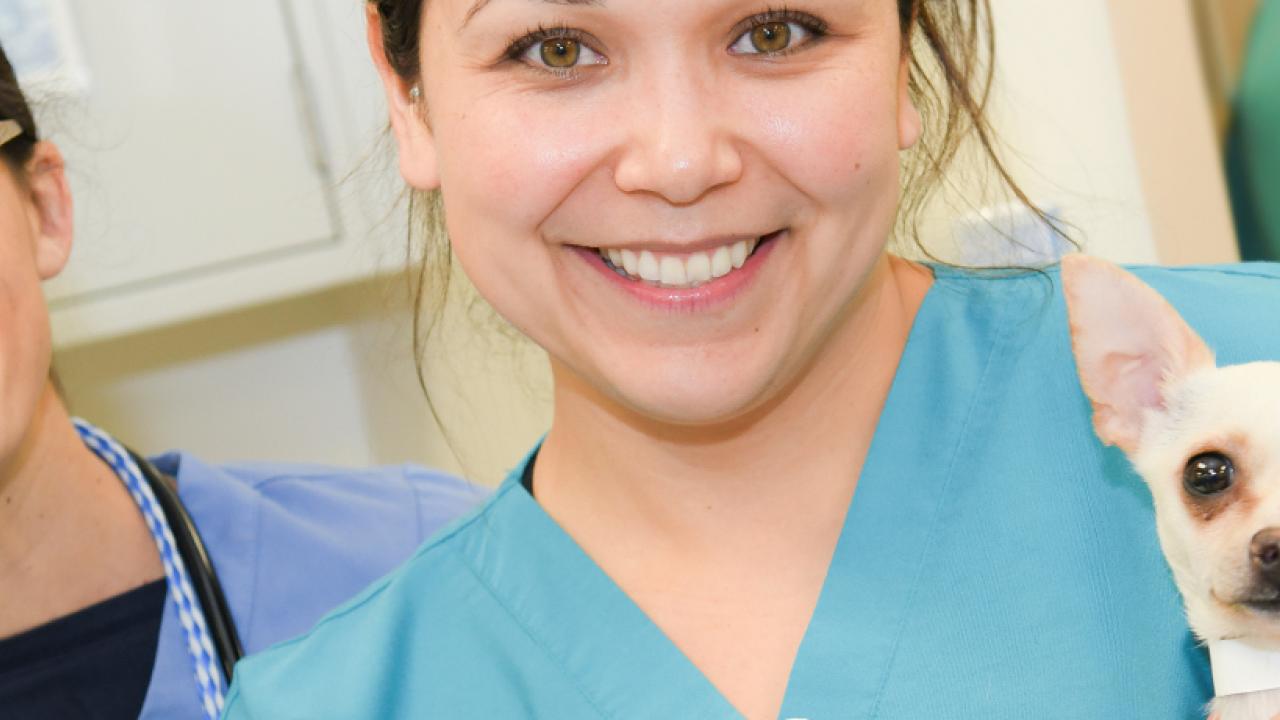 So, You Want To Be A Veterinarian | School Of Veterinary Medicine