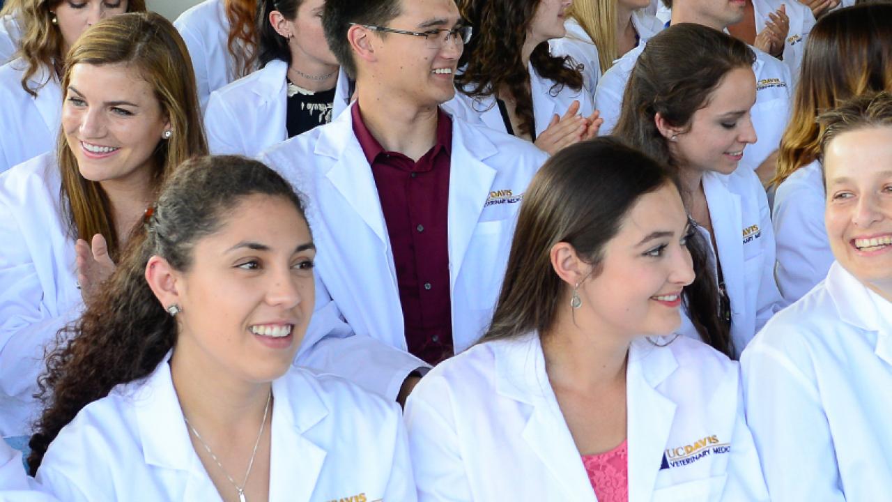 Dvm Program School Of Veterinary Medicine Dvm Program School Of Veterinary Medicine