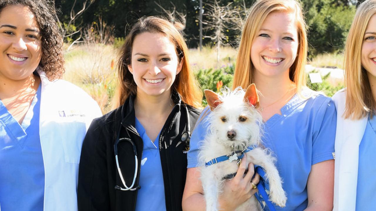 DVM Curriculum School of Veterinary Medicine