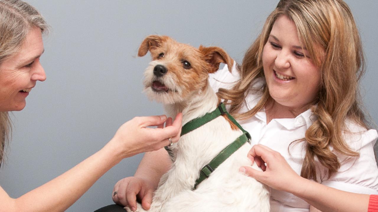 Behavior Service School of Veterinary Medicine
