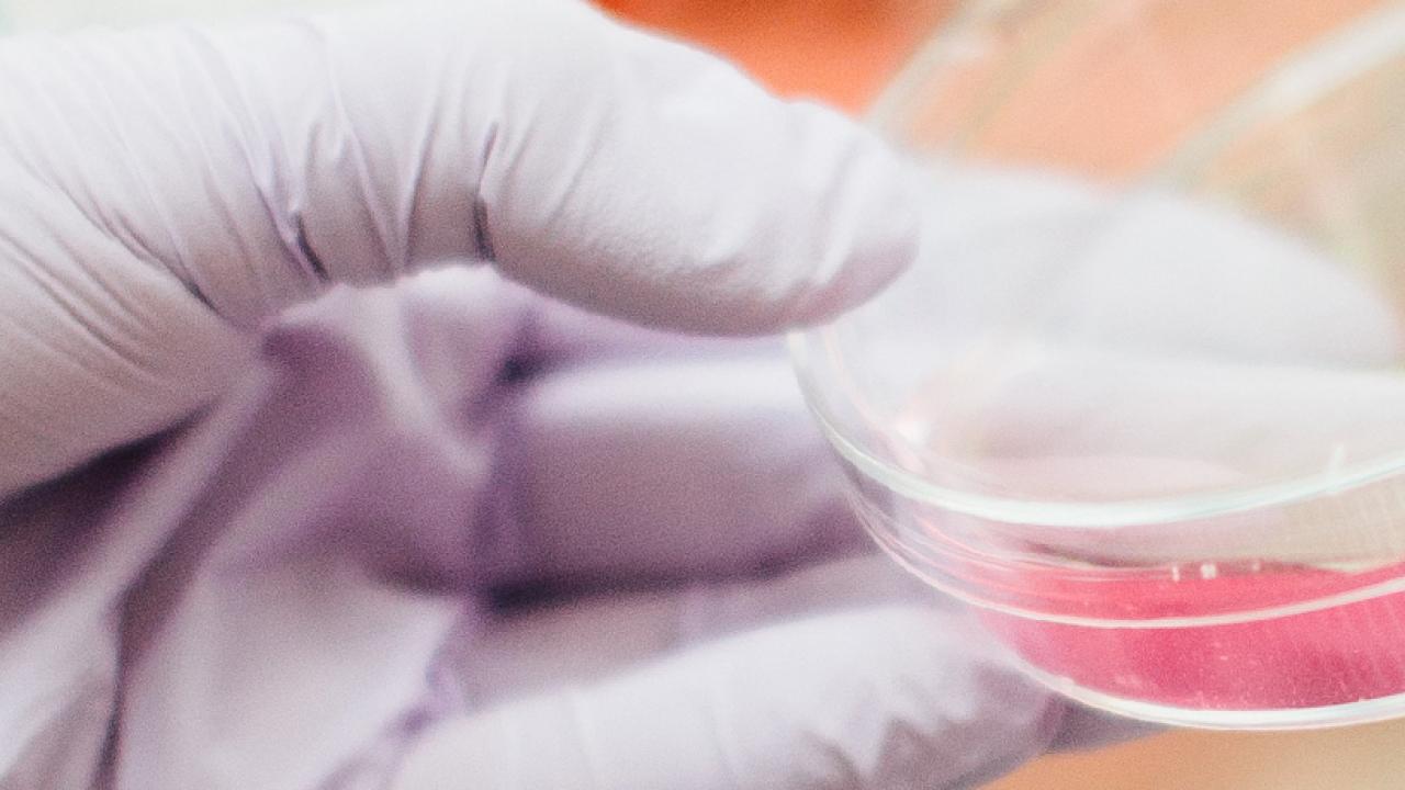 Laboratory Services School Of Veterinary Medicine