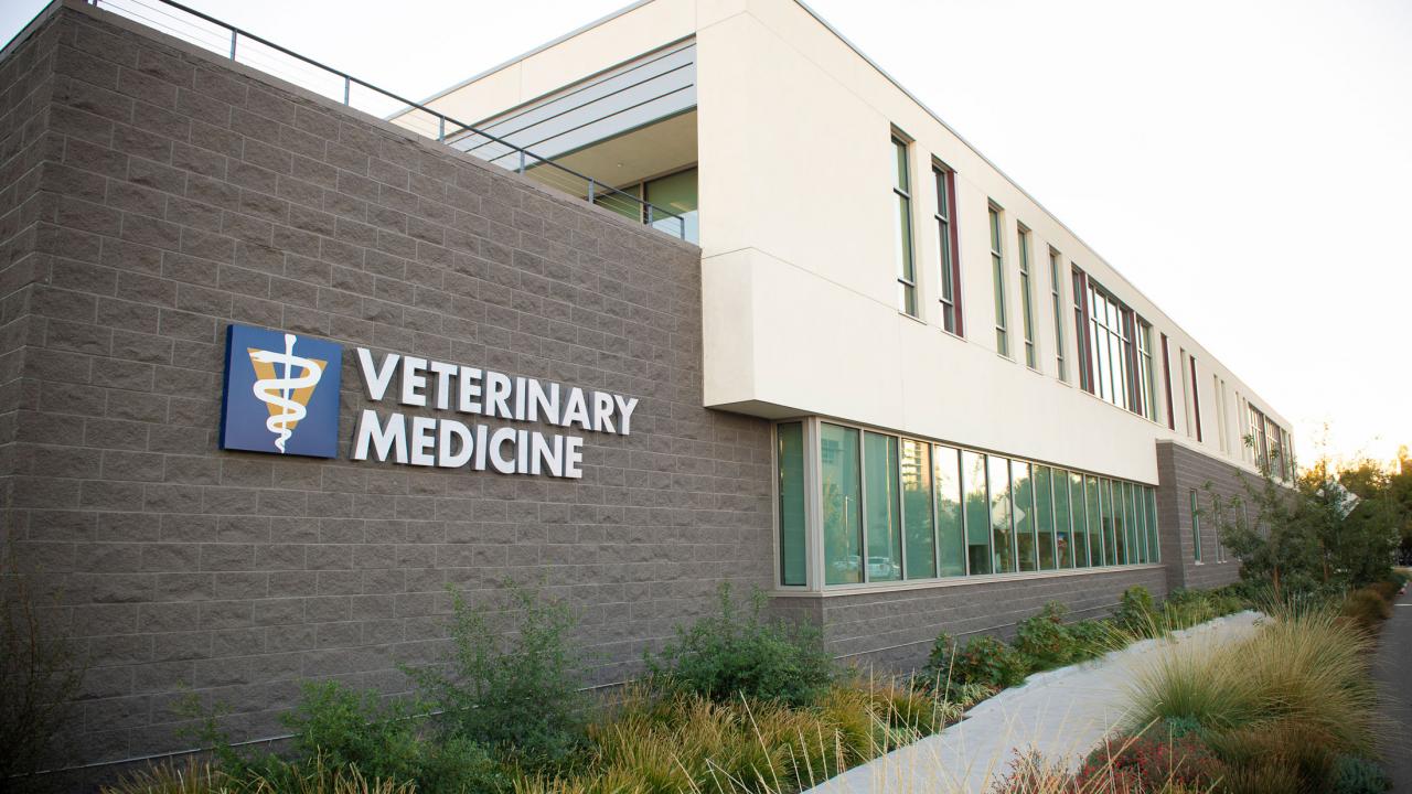 Vet Med Admin Building