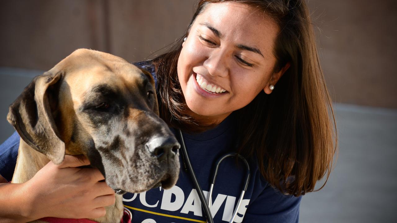 pet insurance at UC Davis veterinary
