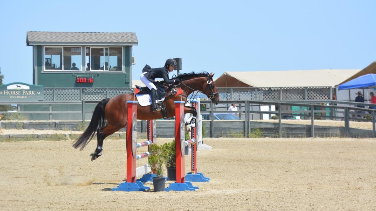 three-day eventing horse colic surgery at UC Davis veterinary hospital