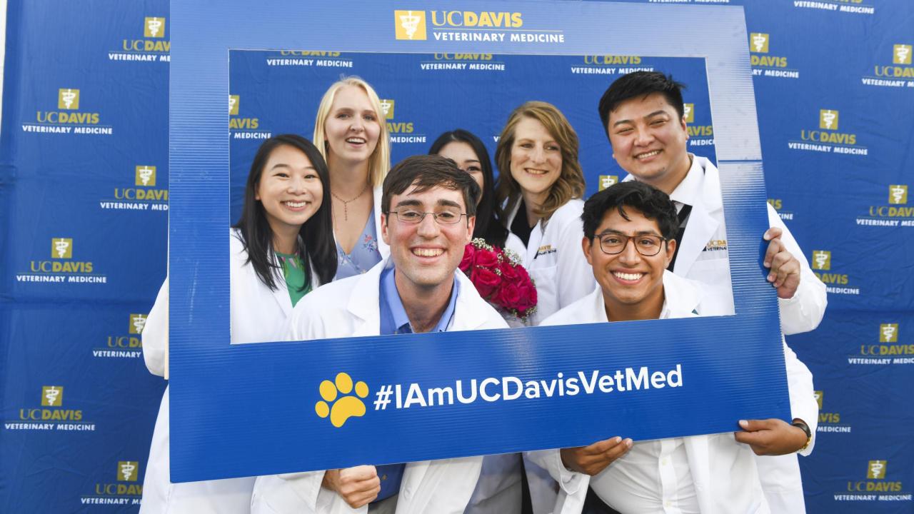 Welcome to the Class of 2023! | School of Veterinary Medicine