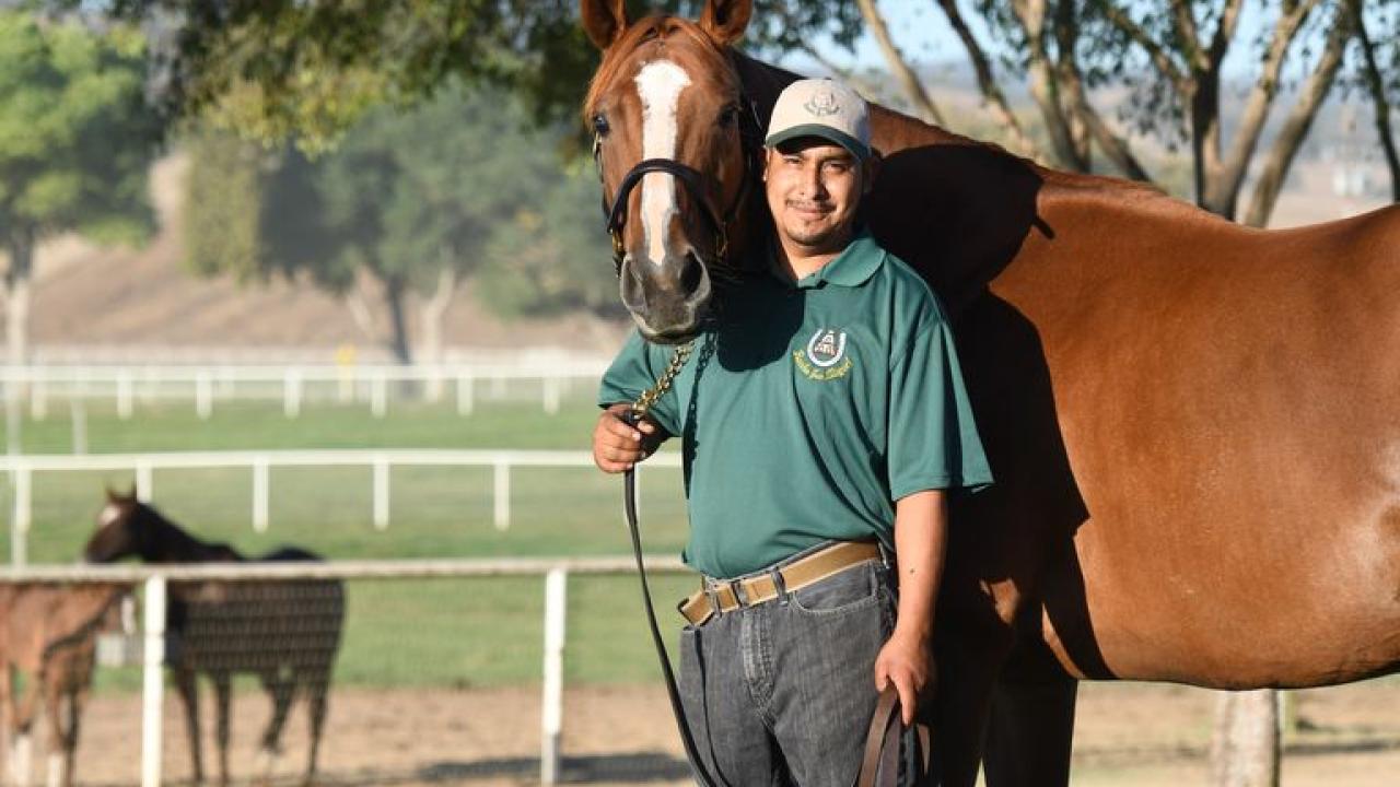 Irish Streetsinger and Stallion Manager Ciriaco Murillo