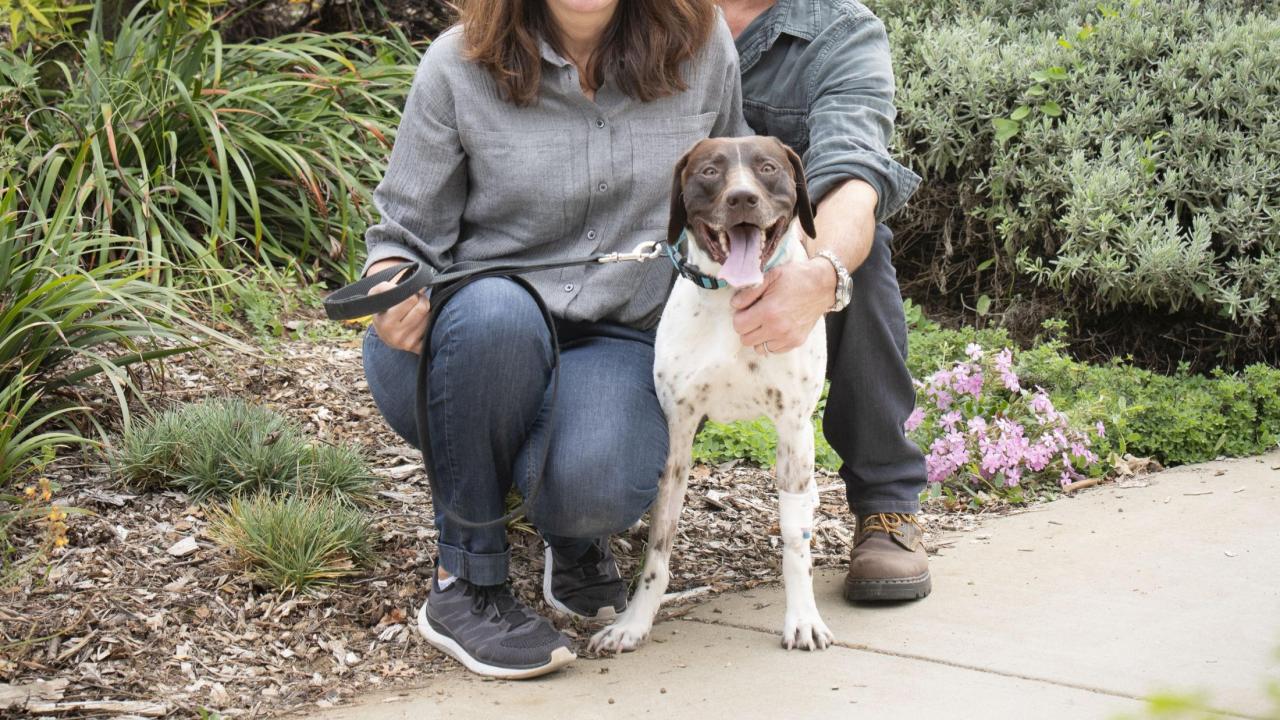 Dexter with owners Anna and Ken Zankel